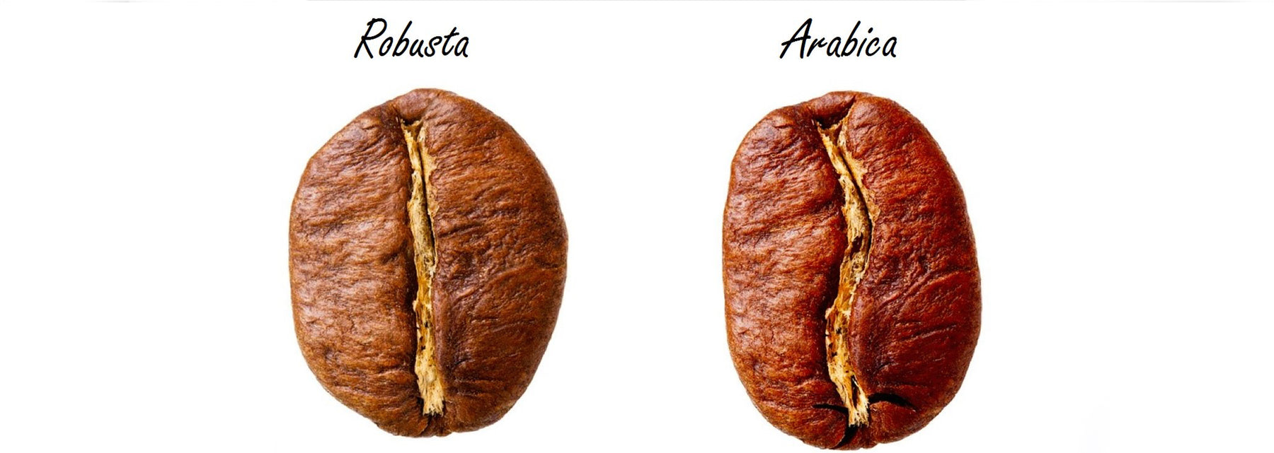 Qual è la differenza tra arabica e robusta?