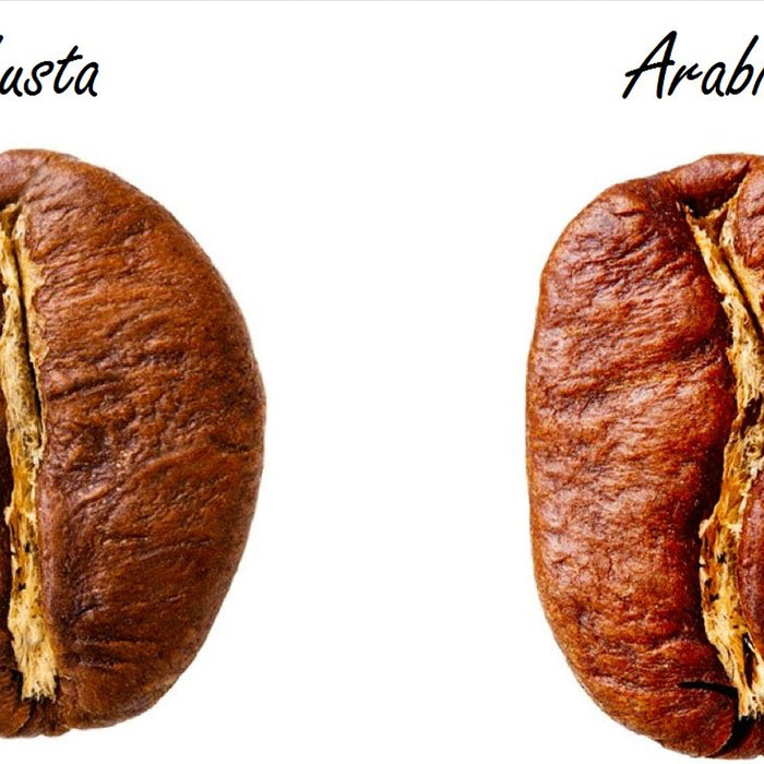 Qual è la differenza tra arabica e robusta?