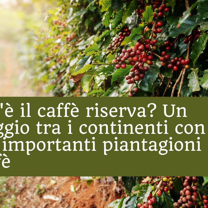Cos'è il caffè riserva? Un viaggio tra i continenti con le più importanti piantagioni di caffè